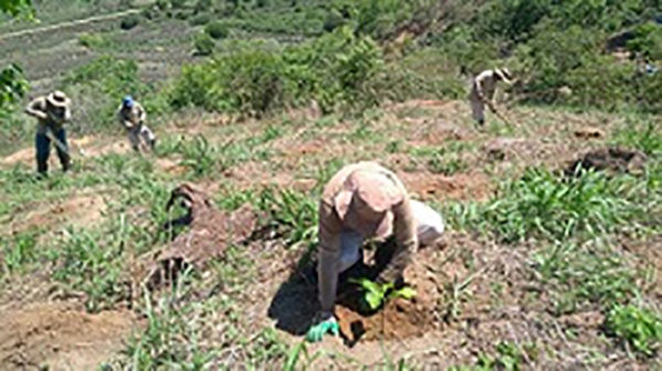 Edital de Credenciamento – Restauração Florestal