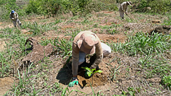 Edital de Restauração Florestal na Bacia do Rio Guandu